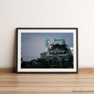 Dragon at Osaka Castle
