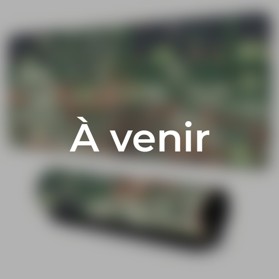 Poster de l'affiche Mimique coffre au format A3 dans un cadre