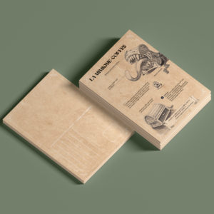 Mimique-Coffre Carte postale