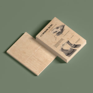 Mimique-Botte Carte postale
